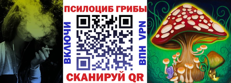 Купить где  Стерлитамак  Псилоцибиновые грибы GOLDEN TEACHER 